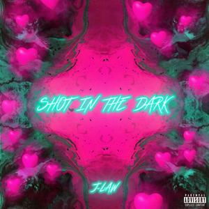Shot In The Dark (Explicit)
