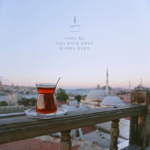 적당한 긴장감(적절한 스트레스)Some Tense In My Mind(Appropriately)