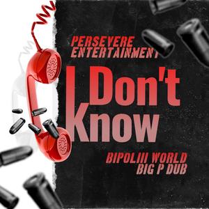 I Don't Know(feat. BiPoliii World) (Explicit)