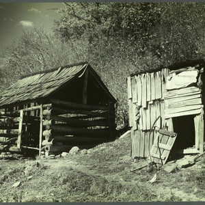 Woodshed Blues