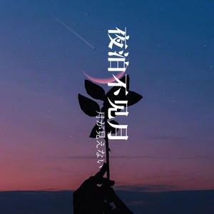 夜泊不见月