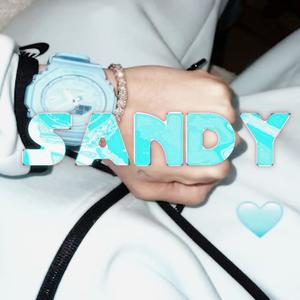 SANDY (feat. nzd222) (Explicit)