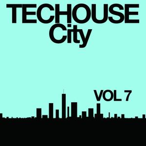 Techouse City, Vol. 7