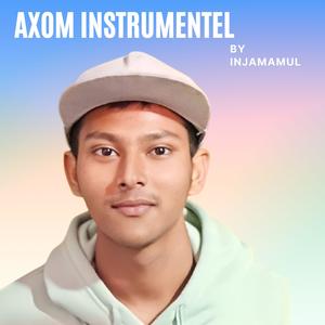 Axom Instrumentel