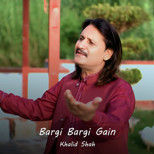 Bargi Bargi Gain