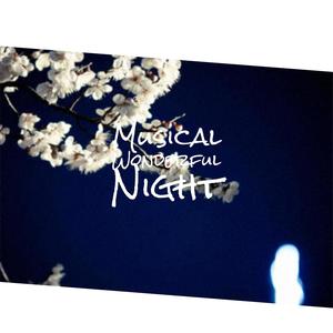 Musical Wonderful Night