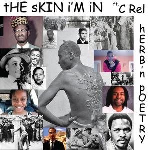 tHE sKIN i'M iN (feat. c rEL)