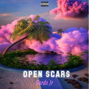 Open $cars (Explicit)