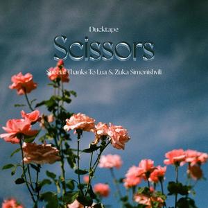 Scissors
