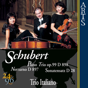 Piano Trio In B Flat Op. 99 D 898 - I. Allegro Moderato