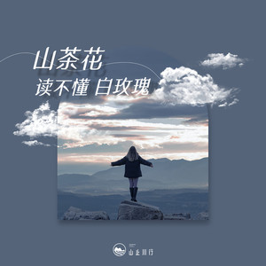 山茶花读不懂白玫瑰