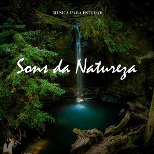 Música para Estudar: Sons da Natureza