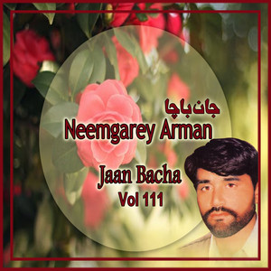 Neemgarey Arman, Vol. 111