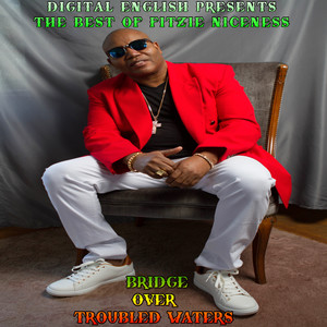 Digital English Presents The Best Of Fitzie Niceness (Explicit)