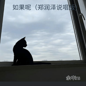 如果呢 (郑润泽说唱版)