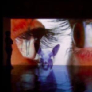 facade (feat. luperlooped) (Explicit)