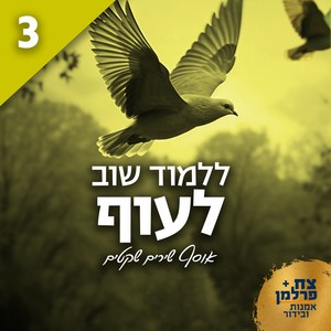 ללמוד שוב לעוף 3 (אוסף שירים שקטים)