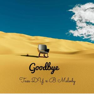 Goodbye (feat. Bmelody)