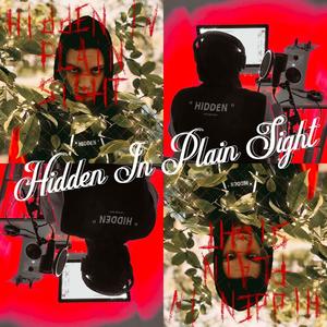 Hidden In Plain Sight (Explicit)