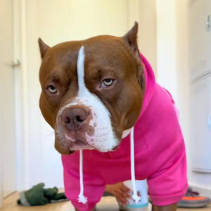 glimmer (feat. jay08) (Explicit)