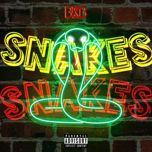 Snakes (feat. BKBdoe) (Explicit)