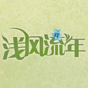 浅风流年
