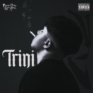 young thug (feat. Apolo Aka Realarciga & Ricci on the beatz) (Explicit)