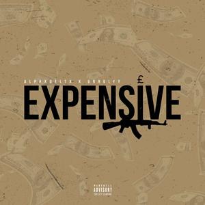 Expensive (feat. UNRULYY) [Explicit]