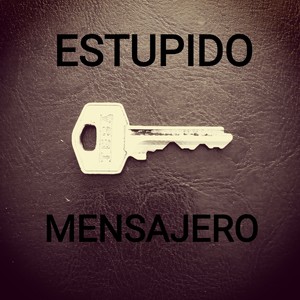 Estupido