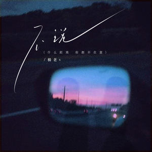 不说 (什么距离 你都不在意)