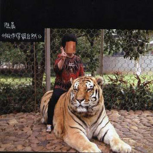 少林，少林
