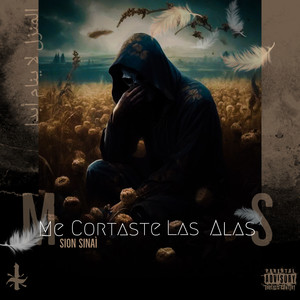 Me Cortaste las Alas (Explicit)