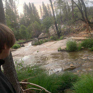 DONTTRUSTILLBEHERETOMORROW