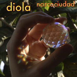 Narcociudad