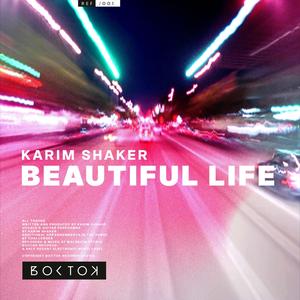 Beautiful Life (Challenger Remix)