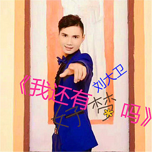 刘大卫 - 亲爱的爸爸妈妈