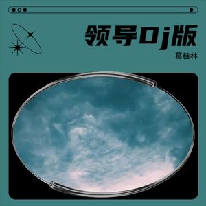 领导Dj版