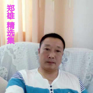 郑雄 - 梨花飞情人泪