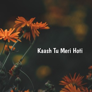 Kaash Tu Meri Hoti