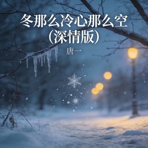 冬那么冷心那么空 (深情版)