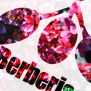 Risperidon (Original Mix)