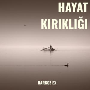 Hayat Kırıklığı (Explicit)