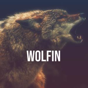 WOLFIN (feat. OBM Luh Q) [Explicit]