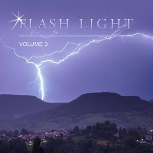 Flash Light, Vol. 3