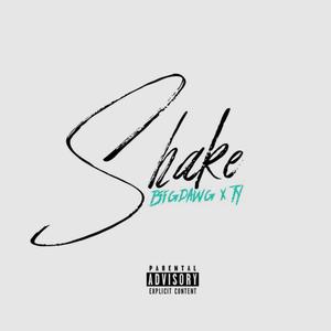 Shake (feat. T.Y) [Explicit]