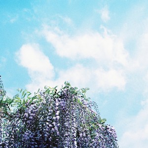 I'll Still Call (Orchestral Rework)