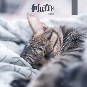 回答 (Remix伴奏)