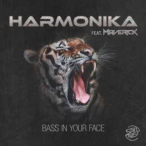 Bass In Your Face