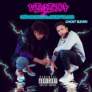 Vegeta (Explicit)