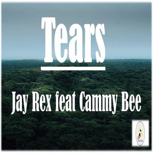 Tears (feat. Cammy Bee)